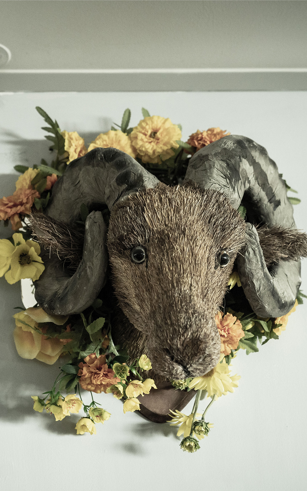 Spooky stories ram A head of a ram surrounded by flowers mounted on a wall