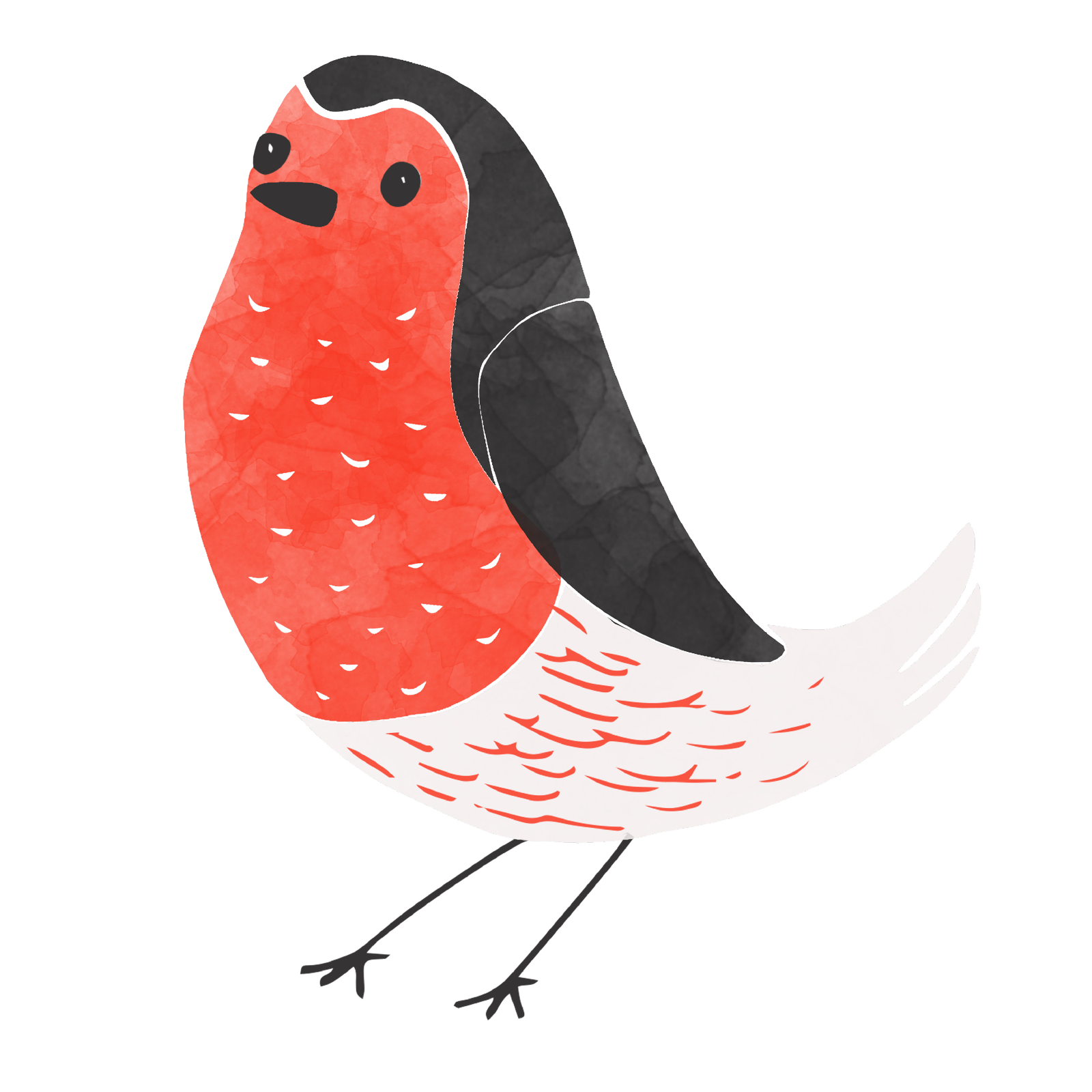 Globe Advent Robin An illustration of a robin with a large red chest.