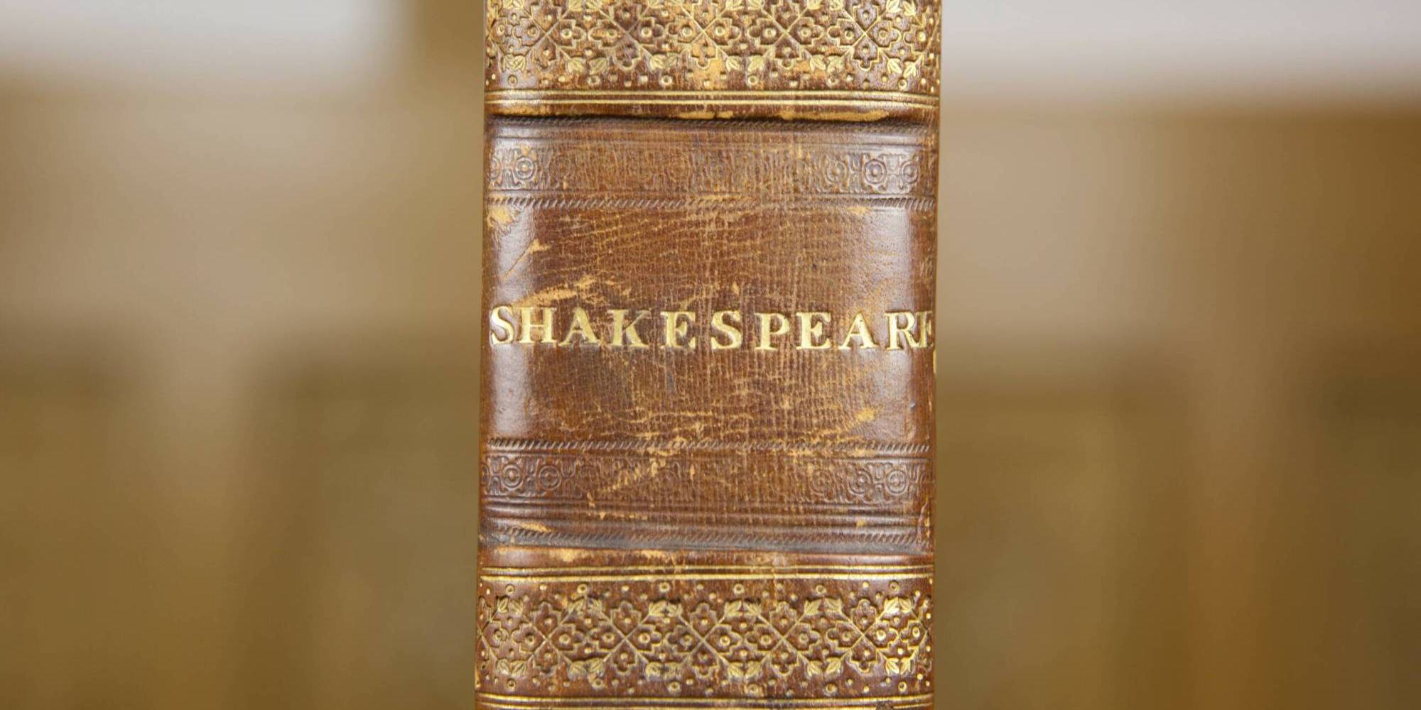 The brown spine of a book shows the word Shakespeare